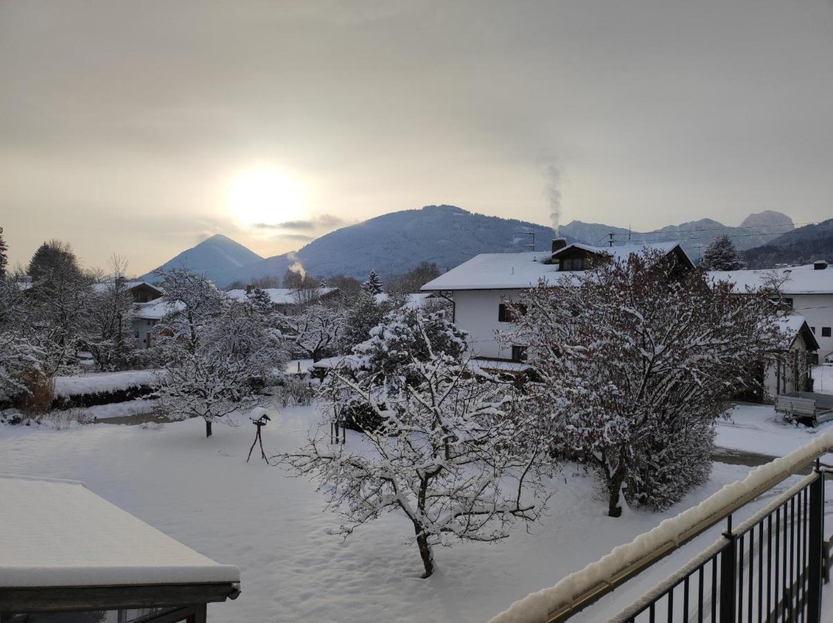 Ferienwohnung Morgensonne บัดไฟลน์บาค ภายนอก รูปภาพ